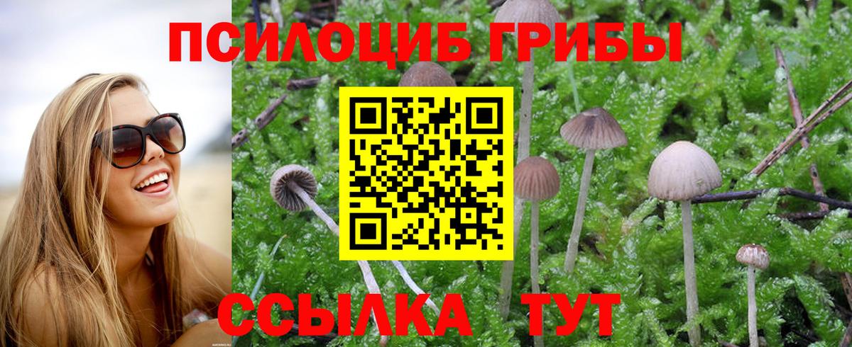 Валуйки  Галлюциногенные грибы GOLDEN TEACHER  Вход с VPN 